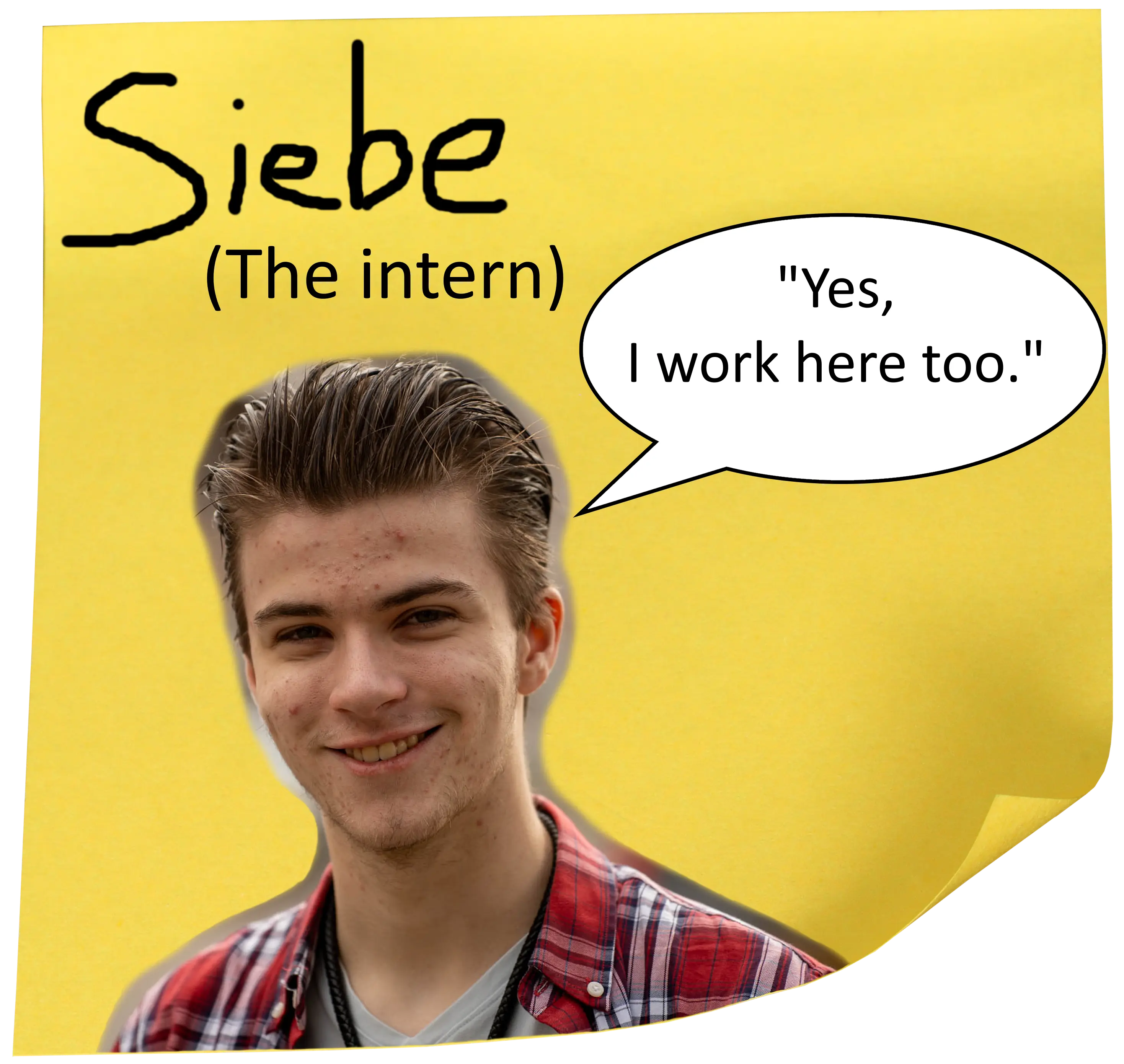 Siebe